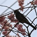 배화학교 이미지