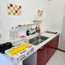 메르베르스파애견펜션 이미지