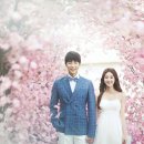 스튜디오위미리 이미지