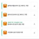 버거스올마이티침산 이미지