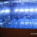 동백 훼미리프라자Ⅱ 이미지