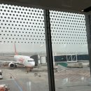 추천 day1 / 제주렌트카 -태광식당 -딜레탕트 -함덕해수욕장 -휘닉스제주 -남양수산* 후기 (찐맛집 추천)