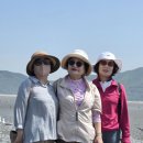 행복 - 증평군 | 행복
