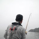 힛트랜드 이미지