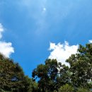 BBQ성서이곡희망점 | 대구 성서점집 깨비당 덕분에 임신할 수 있었어요