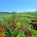 이동 | 골프장 택시 콜밴 타다 골프 이동 추천 후기 힐데스하임cc