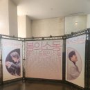 바이올린 (A) | [클알못의 공연 소개 + 후기💭] 경기리베라 오케스트라 <봄의 소동 (甦動)> - 수원