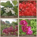 나들이숲 화장실 | [가평 나들이 추천] 화담숲 방문 후기 | 화담숲 입장 가격 모노레일 | 주차장 꿀팁 총정리!