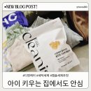 주식회사 더올인원 | 올인원캡슐세제추천 디엔케이 클린이즈 솔직 후기 엄마 입장에서