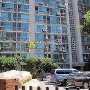 강남-146 이미지