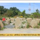 25시카써비스 이미지