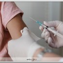 푸른솔의원 네이버블로그
