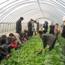 성대초등학교 이미지