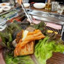 웰빙 오골계세상 이미지