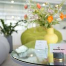 강아지분양 올리펍스 강남점 | 잠실애견분양 시그니처펍스 서비스 좋은 샵