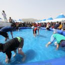 사천 삼천포항 수산물축제 2019 이미지