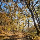 [덕계]양주숲트레킹 | 양주 덕계 저수지 가을 산책-물빛에 물든 고요한 아침의 힐링 산책길