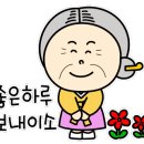 뉴프로셀 네이버블로그