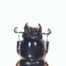 여주-0215 이미지