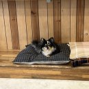 리트그룸 이미지