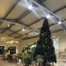 [홍성맛집] 내포신도시 실내 돔 풋살장이 있는 카페 휘슬 (Whistle) 내돈내산 후기 메뉴 주차정보