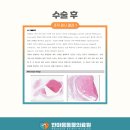 한마음동물병원 이미지