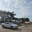 광장회직판장 | 궁평항 수산물직판장 회 추천 주차장 내돈내산 후기