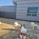 (주)라인하트 이미지