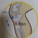 족삼리 이미지