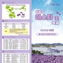 아스타축제 이미지