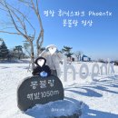 몽블랑 | 평창 휘닉스 파크 곤돌라 - 강원도 가볼만한곳, 겨울 몽블랑 후기