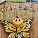 (주)화순군민신문사 | ​강원도 영월 아이와 가볼만한곳: 비 오는 날에도 좋은 영월 곤충박물관 관람기
