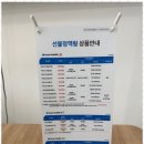 대천일반 이미지