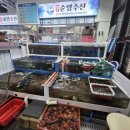 싱싱활어회센터 | 삼척회센터 내돈내산 후기｜싱싱한 활어회 제대로 먹고 온 솔직 리뷰