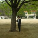 의흥동부초 이미지