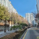 동일하이빌공인중개사사무소 이미지