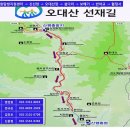 ＜충북54차정기산행＞단풍의 계절 &#34;오대산 선재길&#34; 멋진 단풍구경 가시지요＜강원 평창＞ 이미지