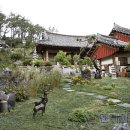 장전미술관 이미지