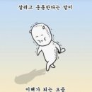 후핏