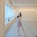 타이파 오일페인팅 발레 레오타드 M 사이즈 입어보니