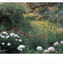 타샤의정원 이미지