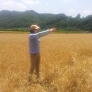 오인숲 이미지