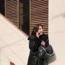 소프티 이미지