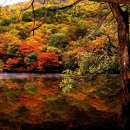 신창길2 이미지