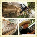 신세계유치원 이미지