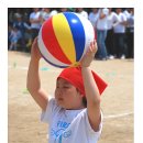 신서초교 이미지