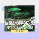 대전아쿠아리움 | 대전 보문산 아쿠아리움 후기 청주 세종 아기랑 갈만한곳 실내 추천