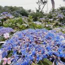 버들스크린골프 이미지