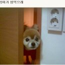 공네일 - 강동구 양재대로113길 44 | 공네일