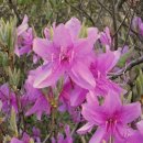 인터넷활용 이미지